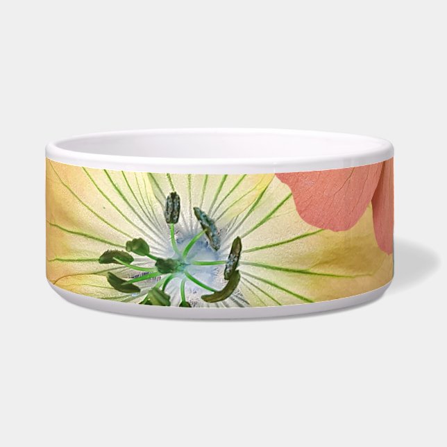 Comedero El hada saldrá pronto 1 (Frente)