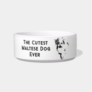 Comedero El perro maltés más lindo de todos los tiempos