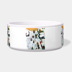 Comedero El Sledding y excavación