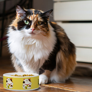 Comedero El tazón mascota de gatos afortunados