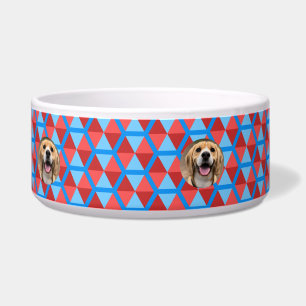 Comedero Elegante Mascota accesorio Perro personalizado per