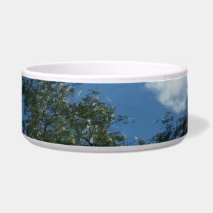 Comedero ESTILO DE ECO DE GUAY CERAMIC DE Pet Bowl