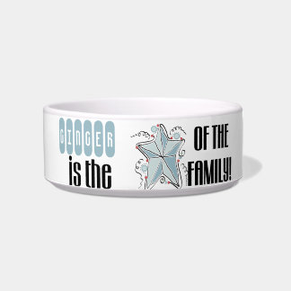 Comedero Estrella modificada para requisitos particulares