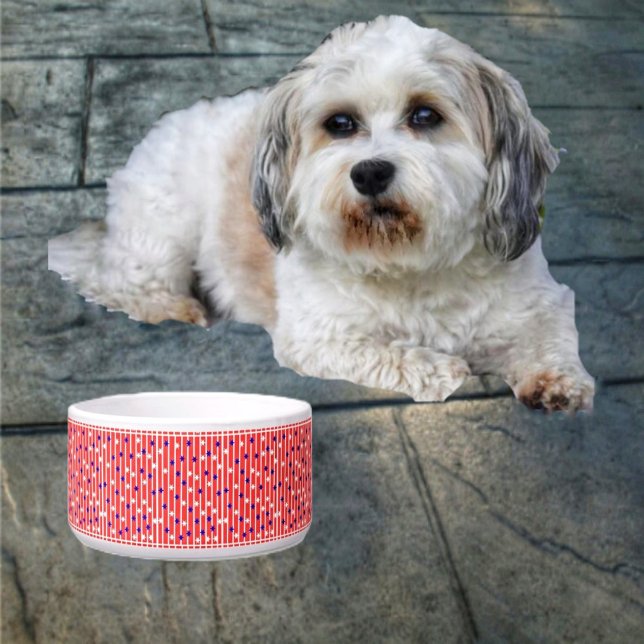 Comedero Estrellas de bandera (Your pet is definitely an American, with the Flag Stripes Pet Bowl!)