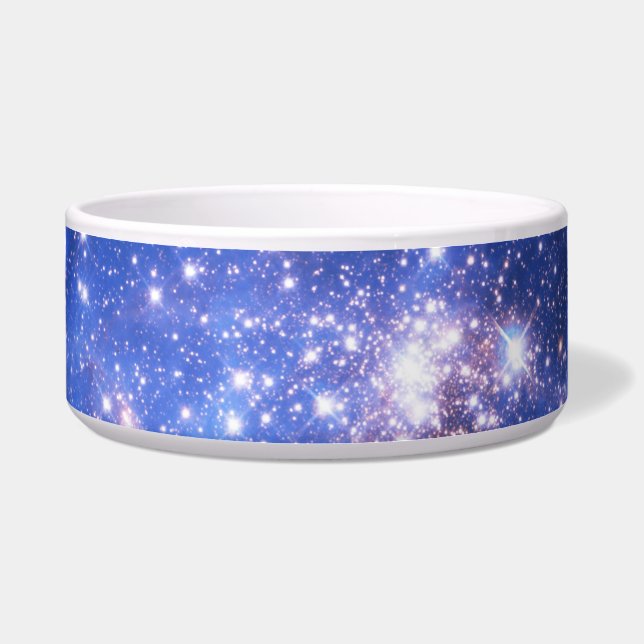 Comedero Estrellas Embriónicas azules caídas (Frente)