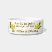 Fabricación de la limonada