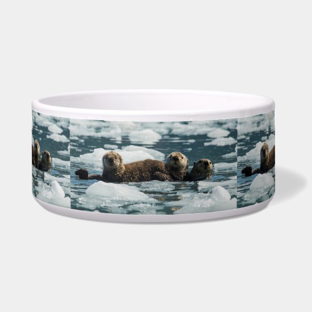 Comedero Familia Otter del mar (Frente)