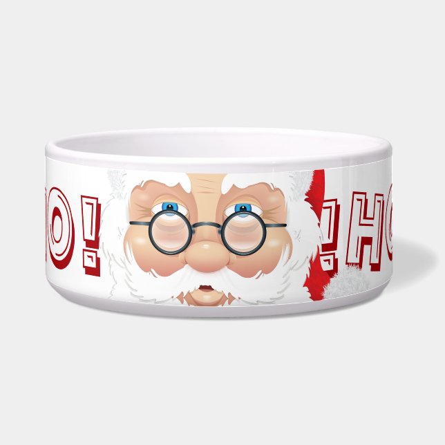 Comedero Feriado de Navidades de Santa Claus (Frente)