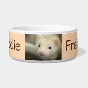 Comedero Ferret face