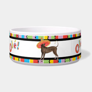 Comedero Fiesta Xolo Mascota