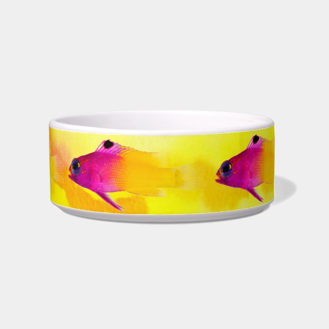 Comedero Fish Pet Bowl (Derecha)