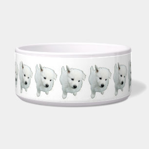 Comedero Flauta fotografía de cachorro blanco