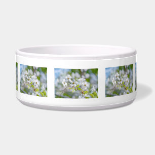 Comedero Flor de cerezo blanco