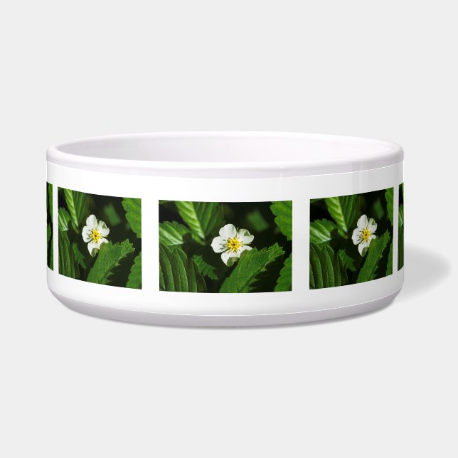 Comedero Flor de fresa silvestre (Frente)