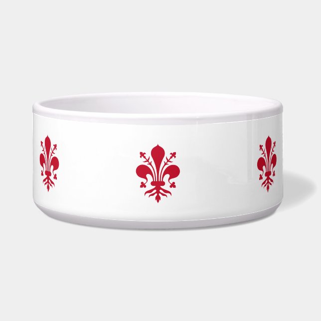 Comedero Florence Flag Pet Bowl (Frente)
