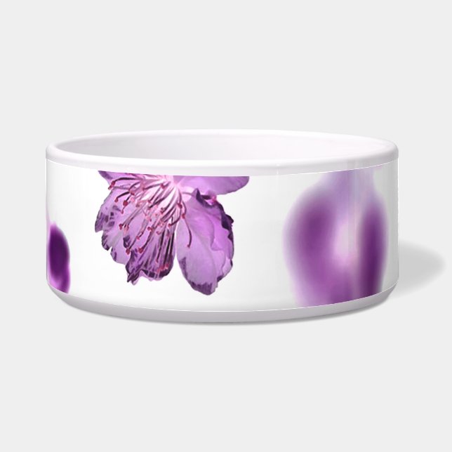 Comedero Flores de cerezo (Frente)