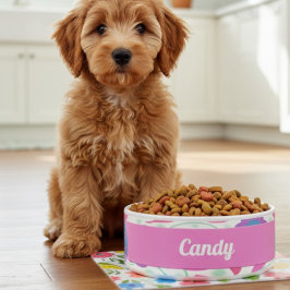 Comedero Flores de fantasía Tazón de cerámica rosa azul púr