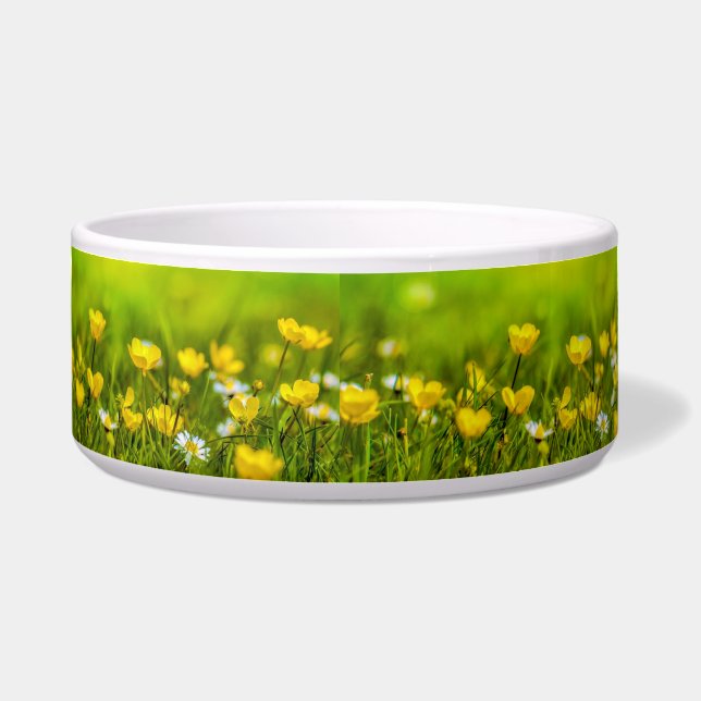Comedero Fondo de las flores de primavera (Frente)