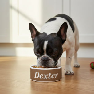 Comedero food bowl   food bowl   personalized