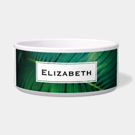 Comedero Foto de la naturaleza tropical de la hoja verde