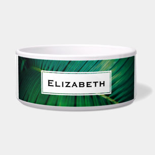 Comedero Foto de la naturaleza tropical de la hoja verde