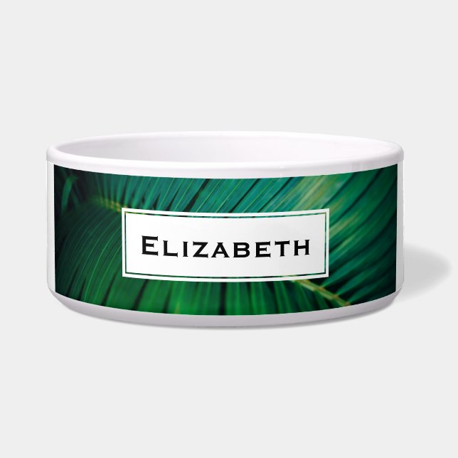 Comedero Foto de la naturaleza tropical de la hoja verde (Frente)