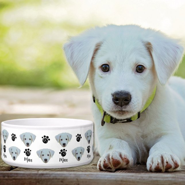 Comedero Foto de perro personalizada (Subido por el creador)