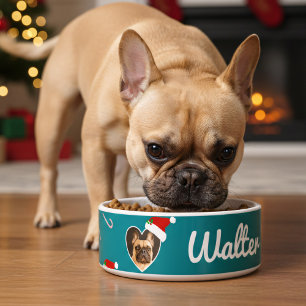 Comedero Foto de perro Santa Hat Navidades Verde azulados M