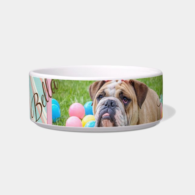 Comedero Foto del Personalizado del perro de Chevron Pastel (Izquierda)