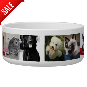 COMEDERO FOTO GIFTS TEMPLATES PERSONALIZADO MASCOTAS AMIGOS