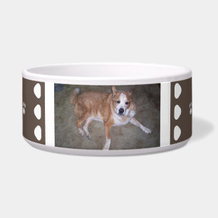Comedero Fotografía de perro blanco marrón y pinturas de no