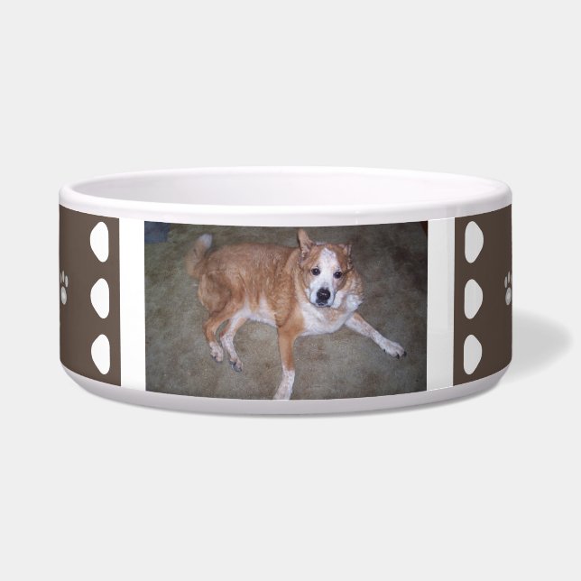 Comedero Fotografía de perro blanco marrón y pinturas de no (Frente)
