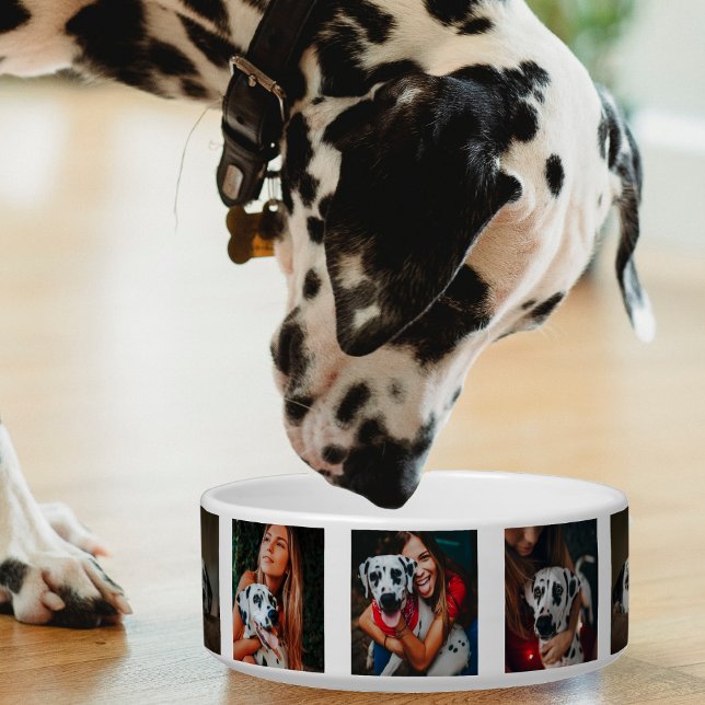 Comedero Fotomontaje del Mascota de la familia del perro de (family pet photo collage pet bowl)