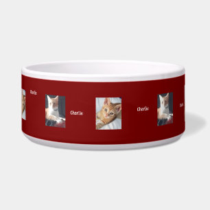 Comedero Fotos de gatos, nombre, personalizable