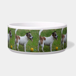 Comedero Fox Terrier con su pelota amarilla, Bog Bowl