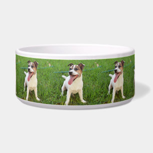 Comedero Fox Terrier, Lengua en Mejilla,  