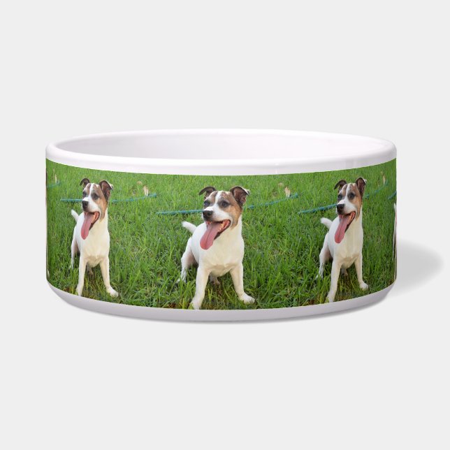 Comedero Fox Terrier, Lengua en Mejilla,   (Frente)