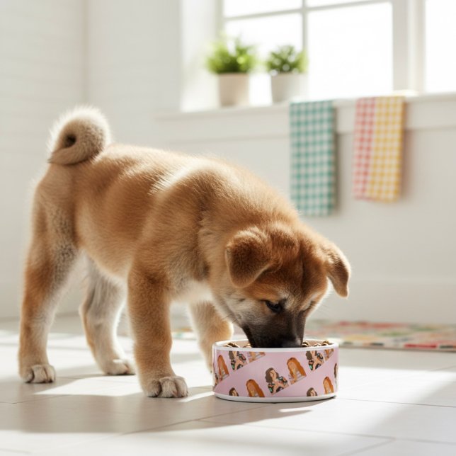 Comedero Friends Bowl (Subido por el creador)