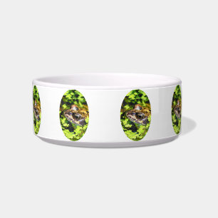 COMEDERO FROG