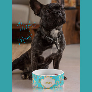Comedero Fun Hanukkah Estrella personalizada de David Pet B