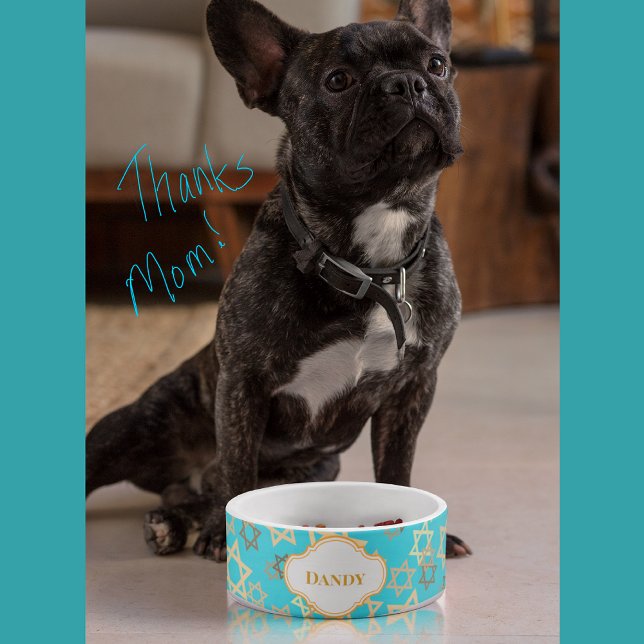Comedero Fun Hanukkah Estrella personalizada de David Pet B (Your pup will be so happy with his personalized pet bowl!)