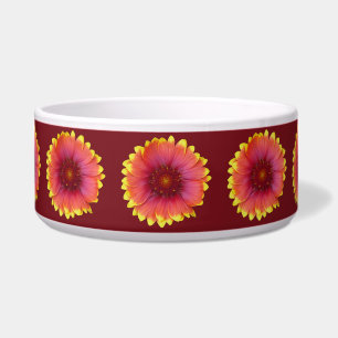 Comedero Gaillardia 1