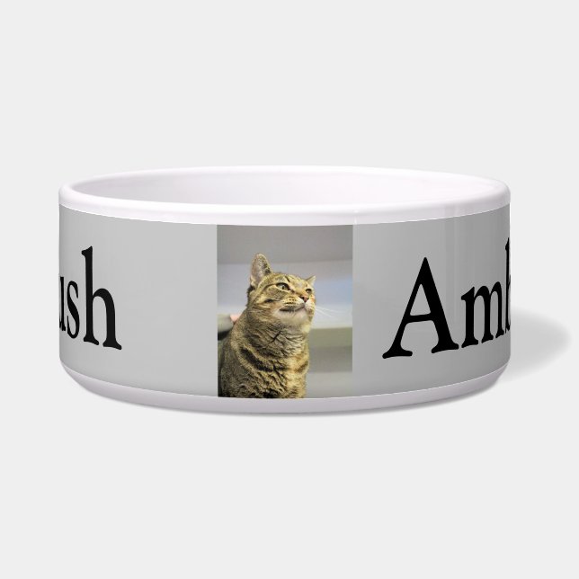 Comedero Gato (Frente)