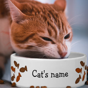 Comedero Gato Biscuit trata pastillas graciosas con nombre 