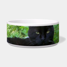 Comedero Gato Bombay Acostado en Tazón de Comida de Trébol
