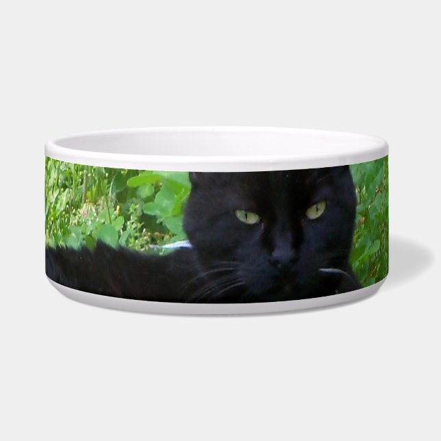 Comedero Gato Bombay Acostado en Tazón de Comida de Trébol (Frente)