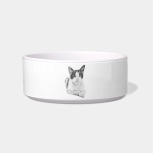 Comedero Gato Calico Minimal Halftone