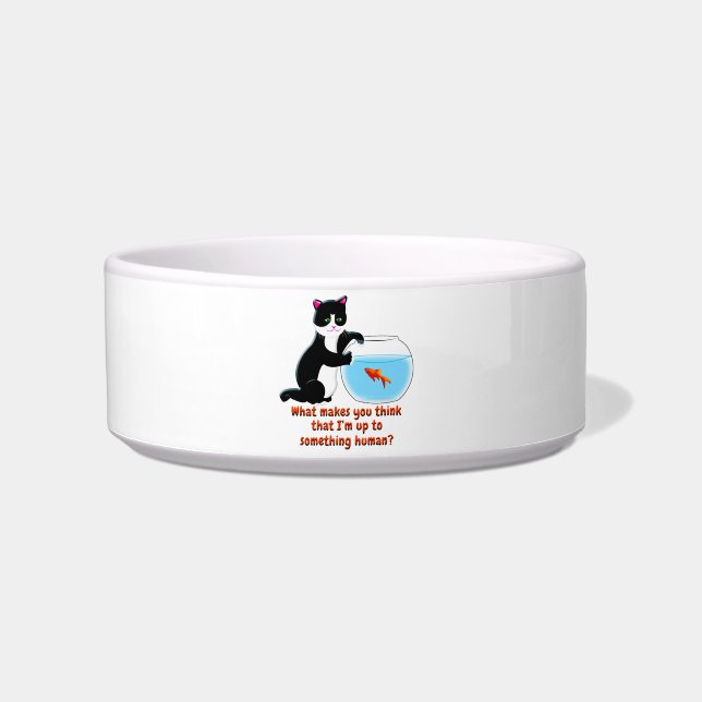 Comedero Gato de Fishbowl (Frente)