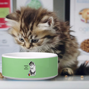 Comedero Gato Divertido y Esponjoso Maine Coon Humor Verde