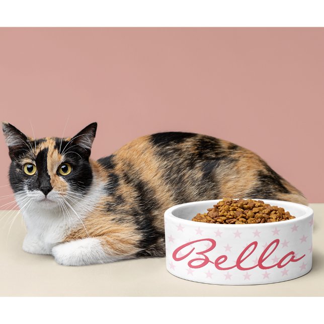 Comedero Gato Gato Gato Gatito Gatito Gatito Puppy Nombre C (Cute Pink Stars Cat Kitty Kitten Puppy Name Food Bowl)